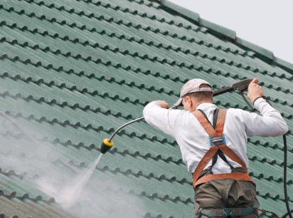 DOFF Cleaning your roof