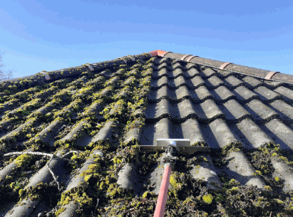 Metal Roof With Algae And Dirt Removal