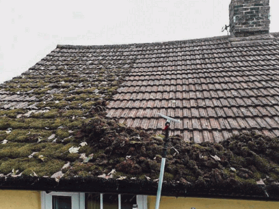 Standard Roof With Moss Removal